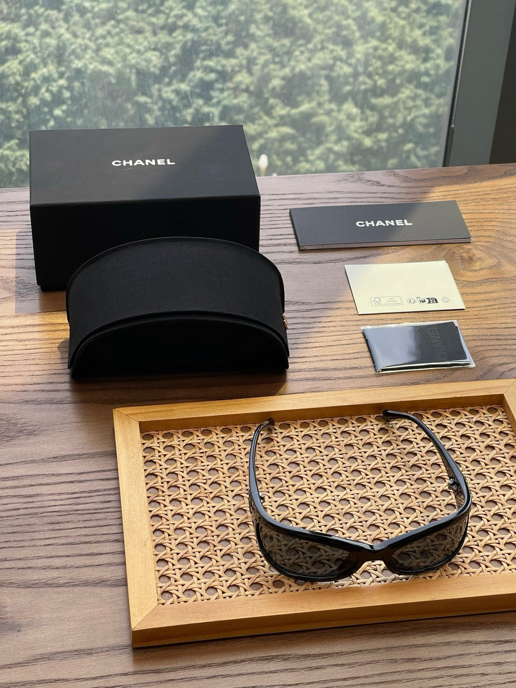 CH73761 Shield Sunglasses
