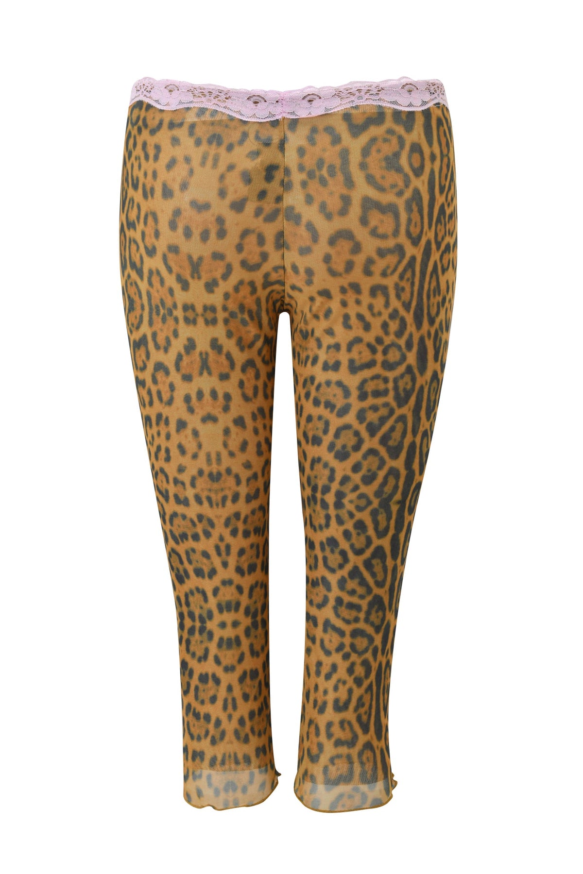 TASHI CAPRI - PANTHERA