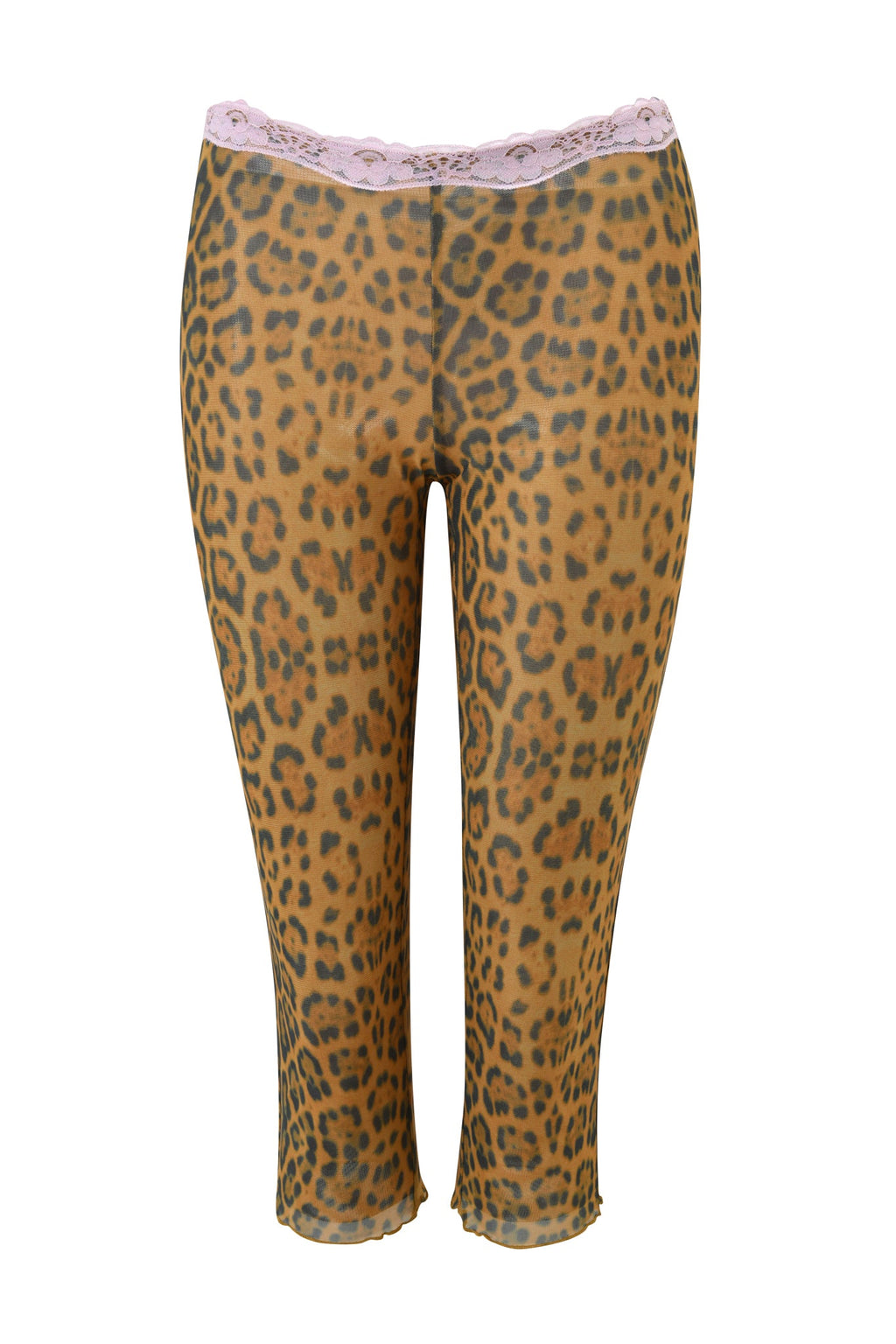 TASHI CAPRI - PANTHERA