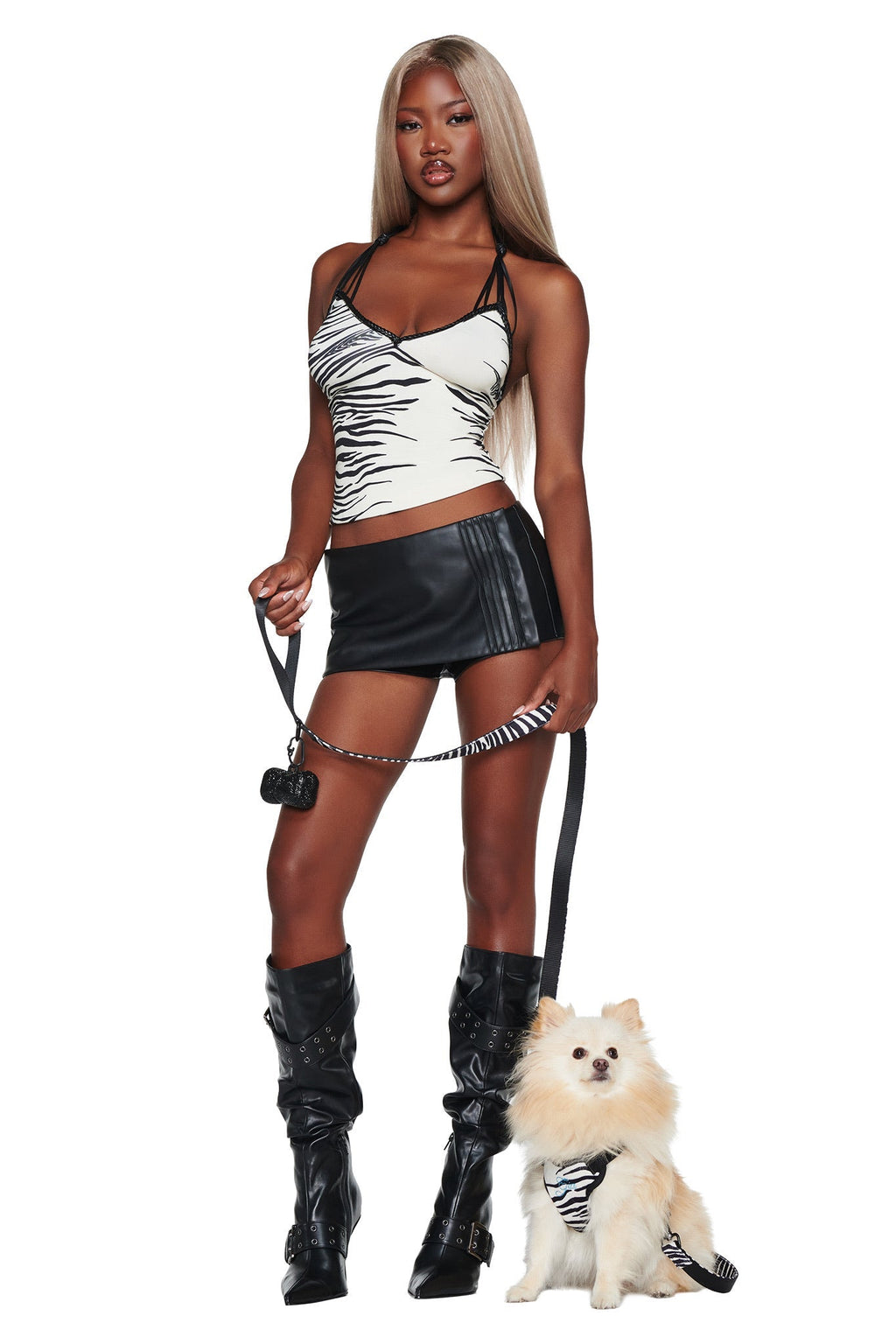 STAR PAWFECT 3-PIECE SET - FINE LINE ZEBRA