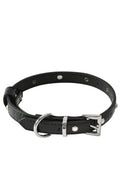 STAR PET COLLAR - BLACK