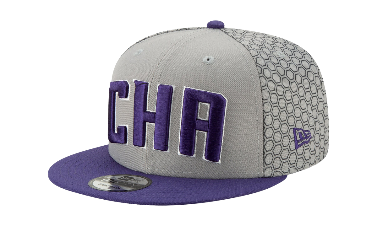 9FIFTY Charlotte Hornets City Series Snapback Hat Grey / Purple - Brim NE566