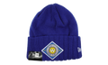 Golden State Warriors Frigid Cuff Beanie Royal Blue NE1133