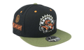 NBA Hardwood Classics Take Flight Fitted Cap Toronto Raptors - Black / Green HHSF5082 TRAYYPPPBKGN