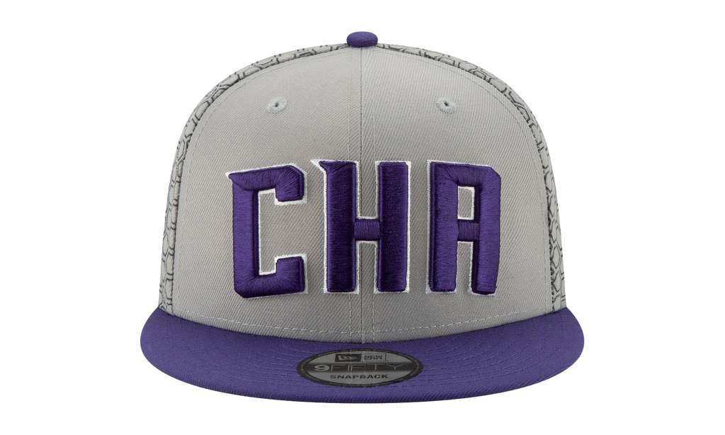 9FIFTY Charlotte Hornets City Series Snapback Hat Grey / Purple - Brim NE566