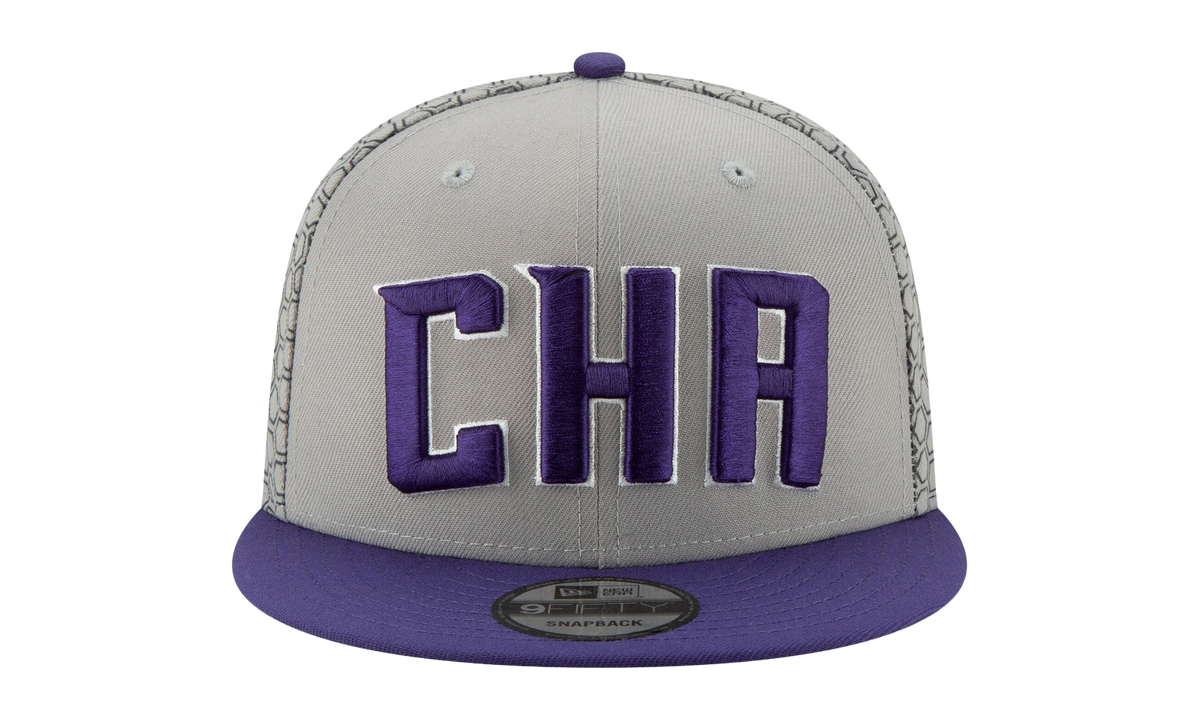 9FIFTY Charlotte Hornets City Series Snapback Hat Grey / Purple - Brim NE566